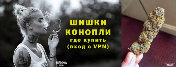 мдпв Елизово