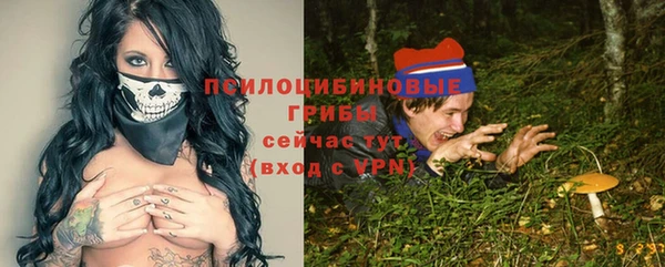 мдпв Елизово