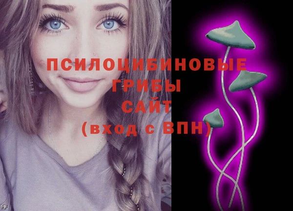 герыч Елабуга