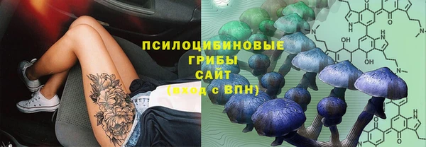 ALPHA-PVP Ельня