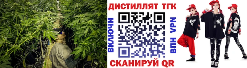 omg Ленск Дистиллят ТГК концентрат