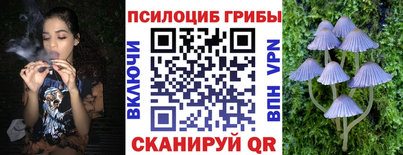 купить наркотики сайты  hydra как войти  Галлюциногенные грибы мицелий  Ленск 